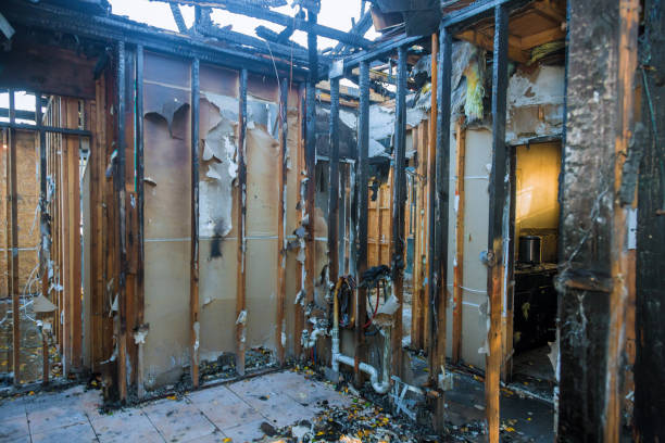 Professional Fire Damage Removal technician working in Alexandria, VA