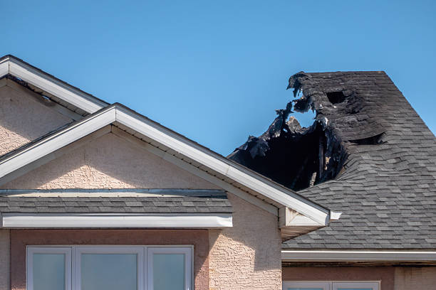 Top rated local Fire Damage Removal specialists in Alexandria, VA