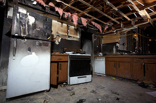 Licensed Fire Damage Removal service in Alexandria, VA - Fire Damage Flint